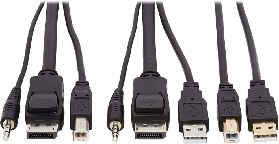 Eaton Dual DisplayPort KVM Cable Kit P783-010-DP