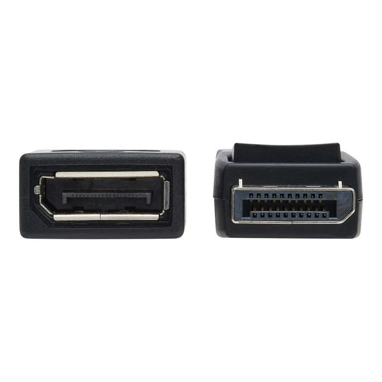 Eaton 10ft DPort Extension Cable 4K P579-010