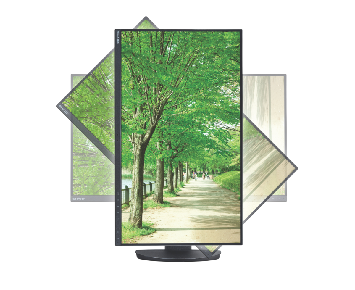 Sharp Electronics Corp. 24 DD EA242F Desktop Monitor DD-EA242F