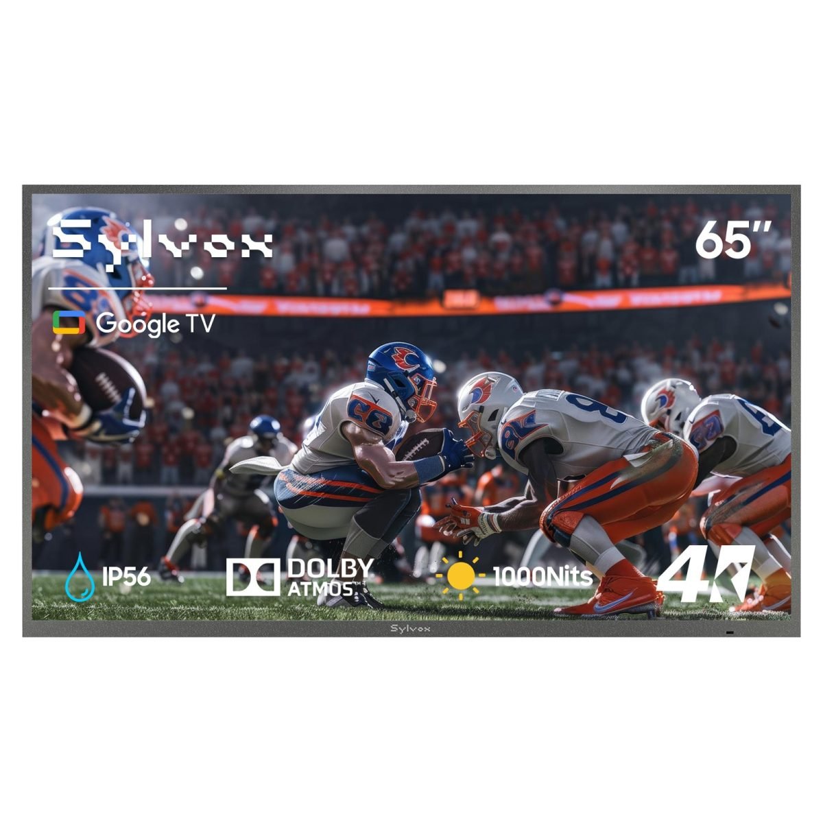 Sylvox TV 65" Partial sun Signage SS65A1BAGD