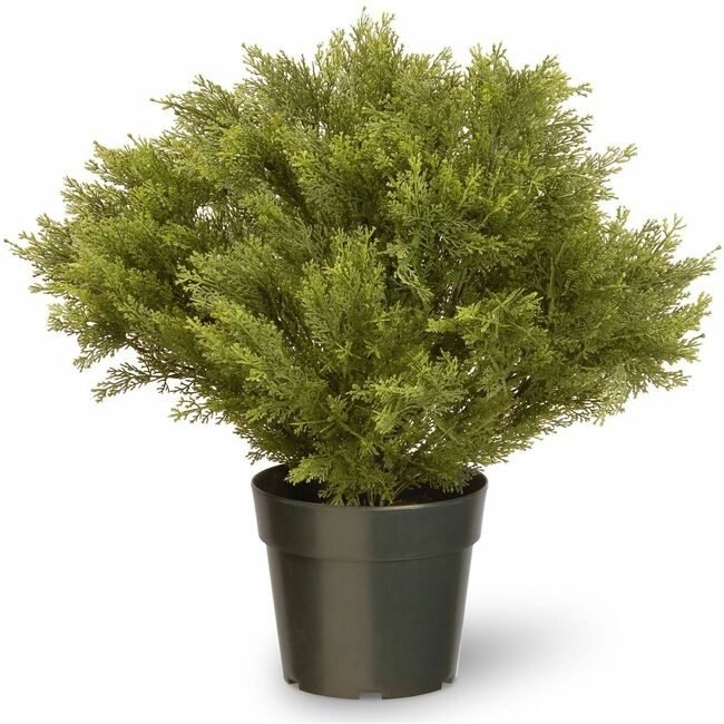 National Tree Company Globe Juniper 28IN NLT729083602283