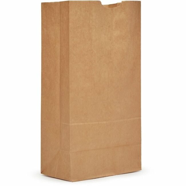 AJM Packaging Corporation BAG PAPER 16# AJMGB16NP5CES