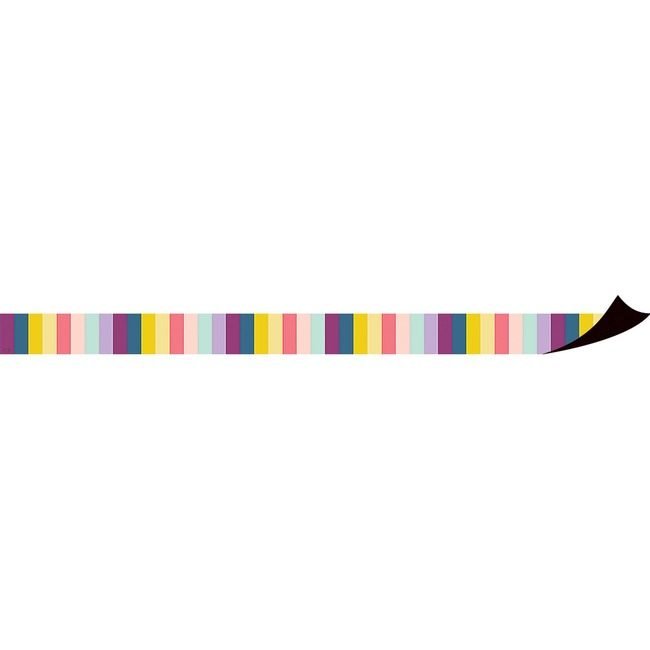 Teacher Created Resources Set Border Magnetic Stripes TCR77567