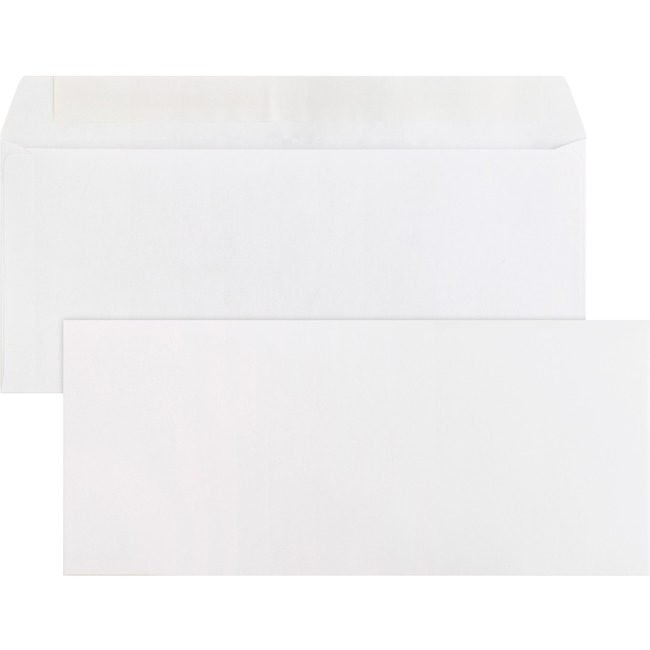 Business Source Envelope Peeltoseal Pln Reg BSN04646