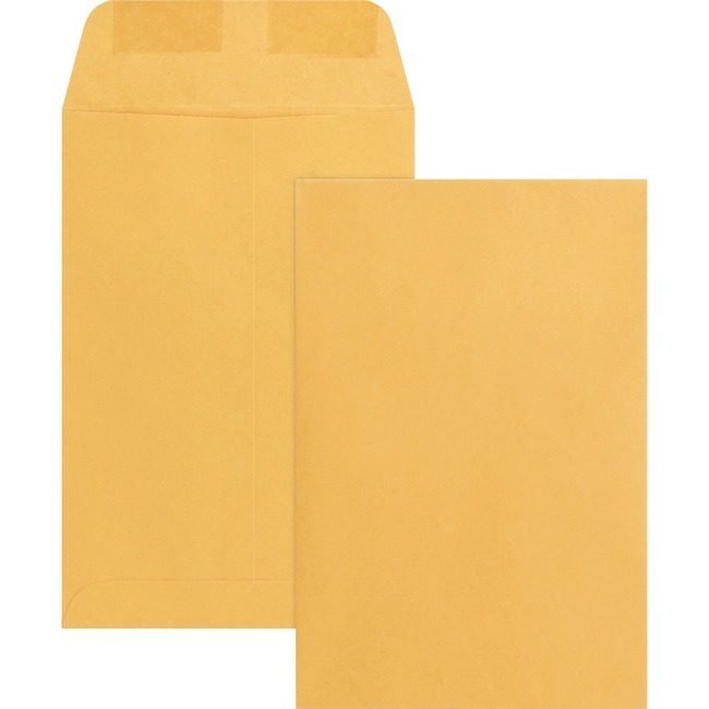 Business Source Envelope Catalog 6X9 Kft BSN42099