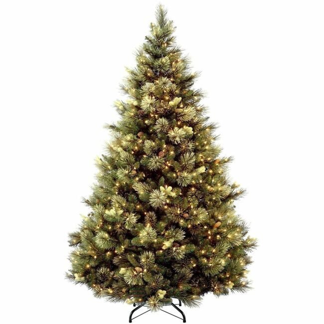 National Tree Company Carolina Pine Wc 6.5FT NLT729083950117