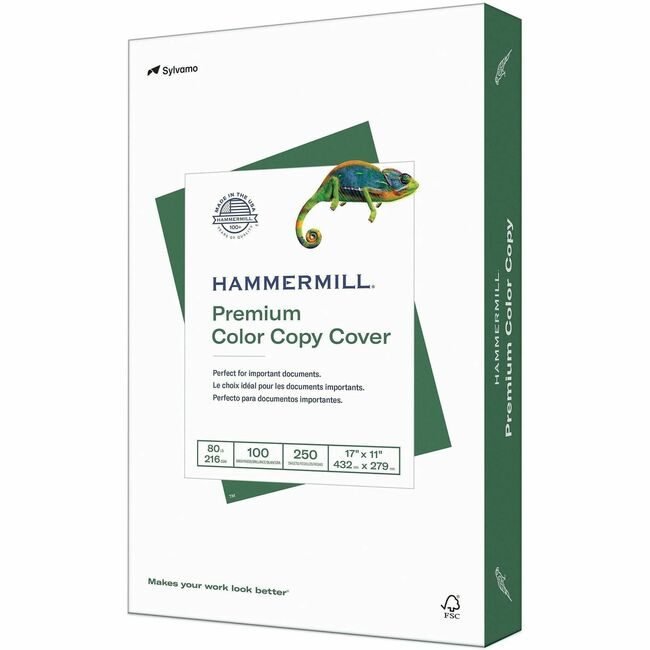Sylvamo / Hammermill Paper Cover 17X11 We HAM120037CT