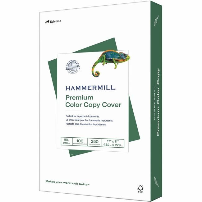 Sylvamo / Hammermill Paper Cover 17X11 We HAM120037