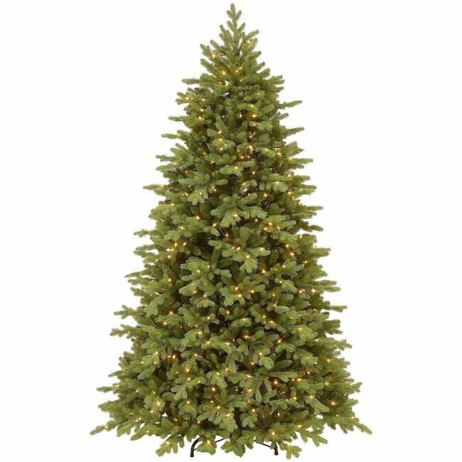 National Tree Company Princeton Dled 7.5FT NLT729083786181