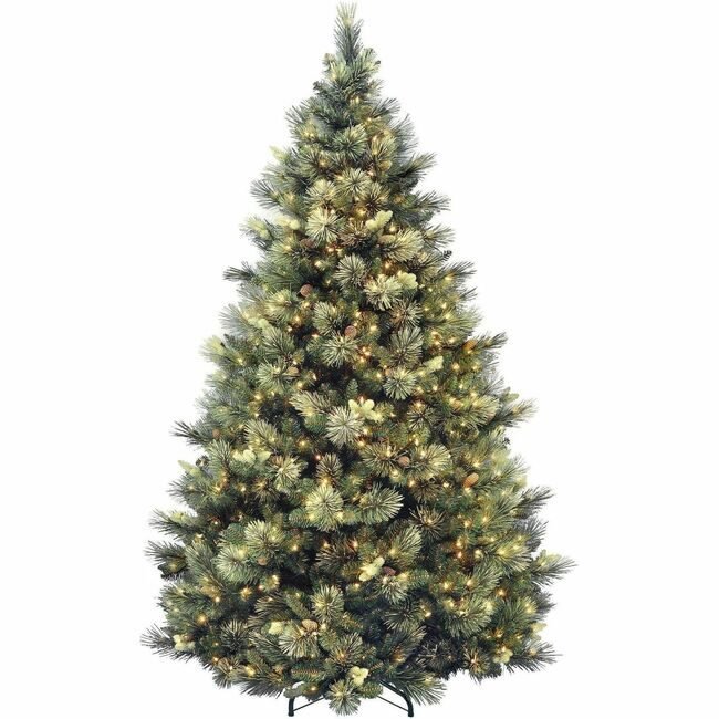 National Tree Company Carolina Pine Wc 7.5FT NLT729083945977