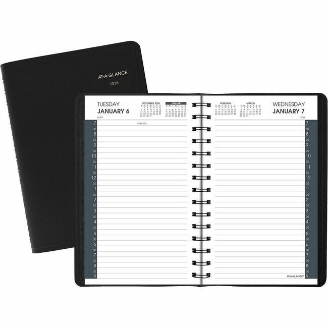 ACCO Brands AT-A-GLANCE Book Appt Daily 1/2 HR 5X8 AAG70-207-05