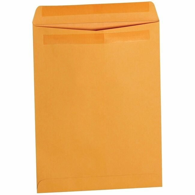Business Source Envelope Cat 9X12 28# BSN35290