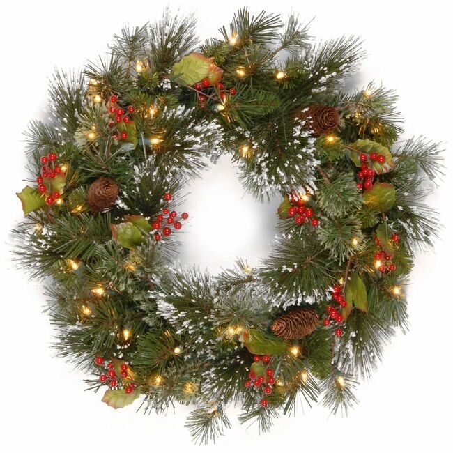 National Tree Company Wreath Wintrypine Wc 24IN NLT729083206436
