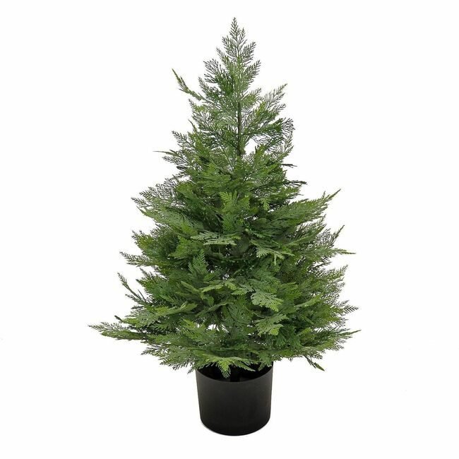 National Tree Company Cypress In Pot 3FT NLT729083527258