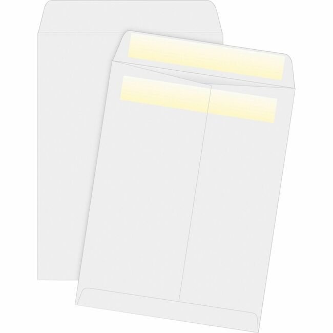 Business Source Envelope Catlg Selfsl 9X12 BSN04648
