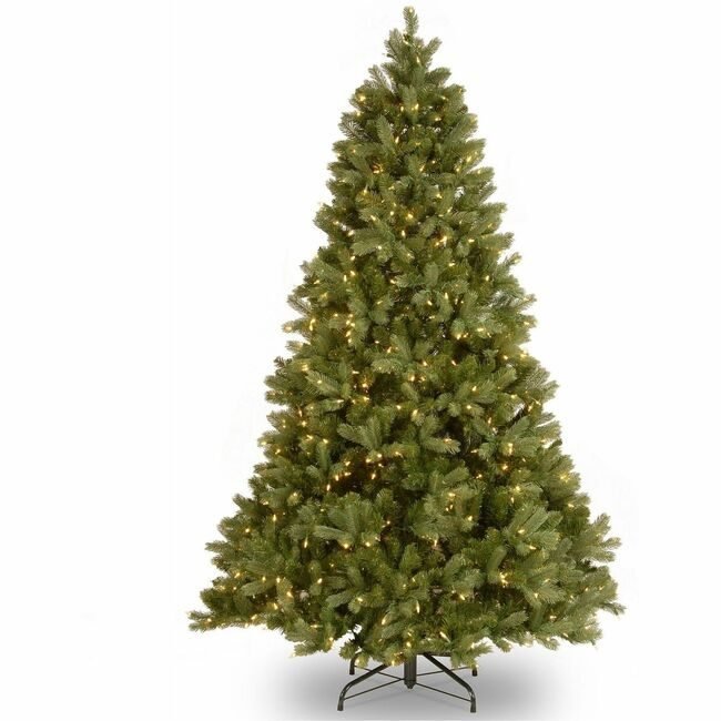 National Tree Company Douglas Fir Dled 6.5FT NLT729083515699