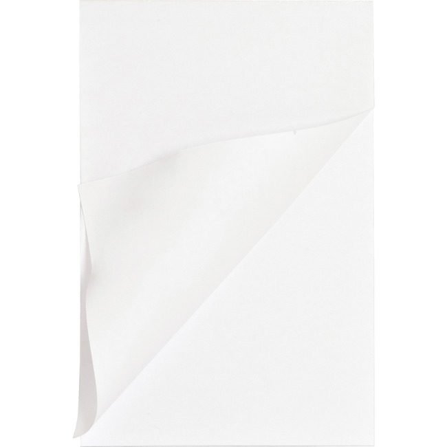 Business Source Pad Memo 5X8 Plain 100SH We BSN65902