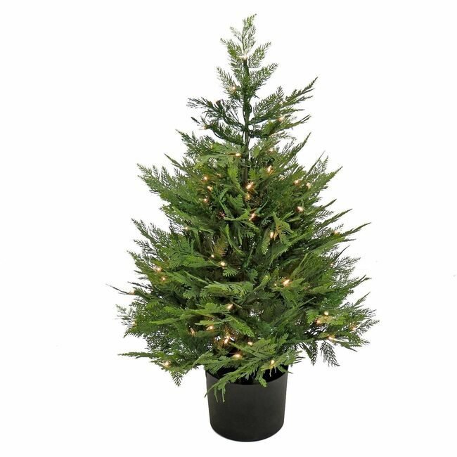 National Tree Company Cypress In Pot Wc 3FT NLT729083527265
