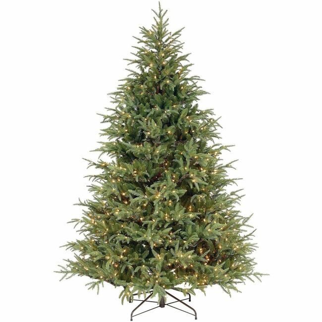National Tree Company Frasiergrande Wc 7.5FT NLT729083764820