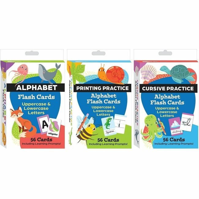 Teacher Created Materials / Shell Education Cards Flash Literacy 3 BX SHL155911