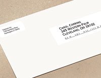 DYMO 30252 addressing label White
