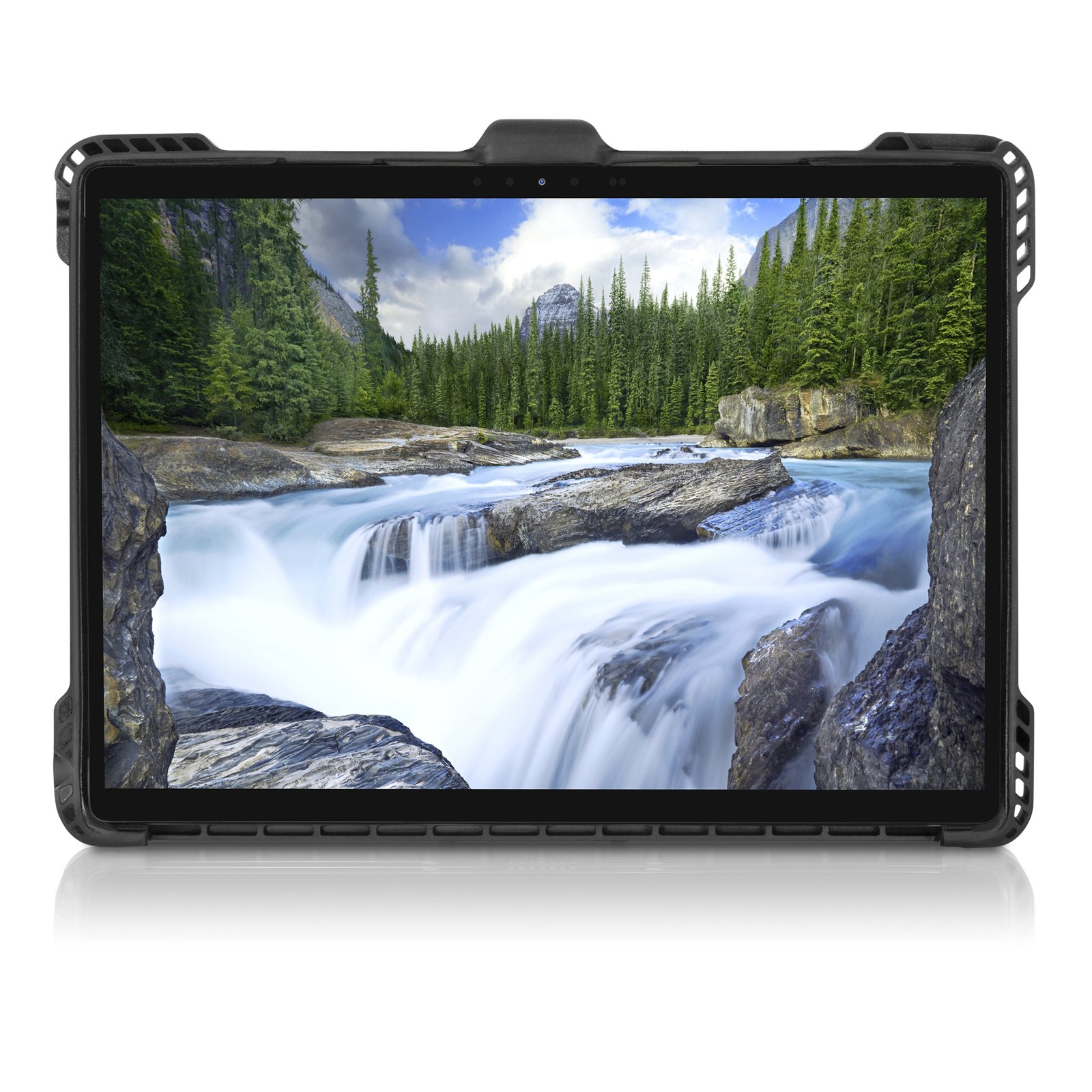 DELL PERIPHERALS RG1322C 33.8 cm (13.3")