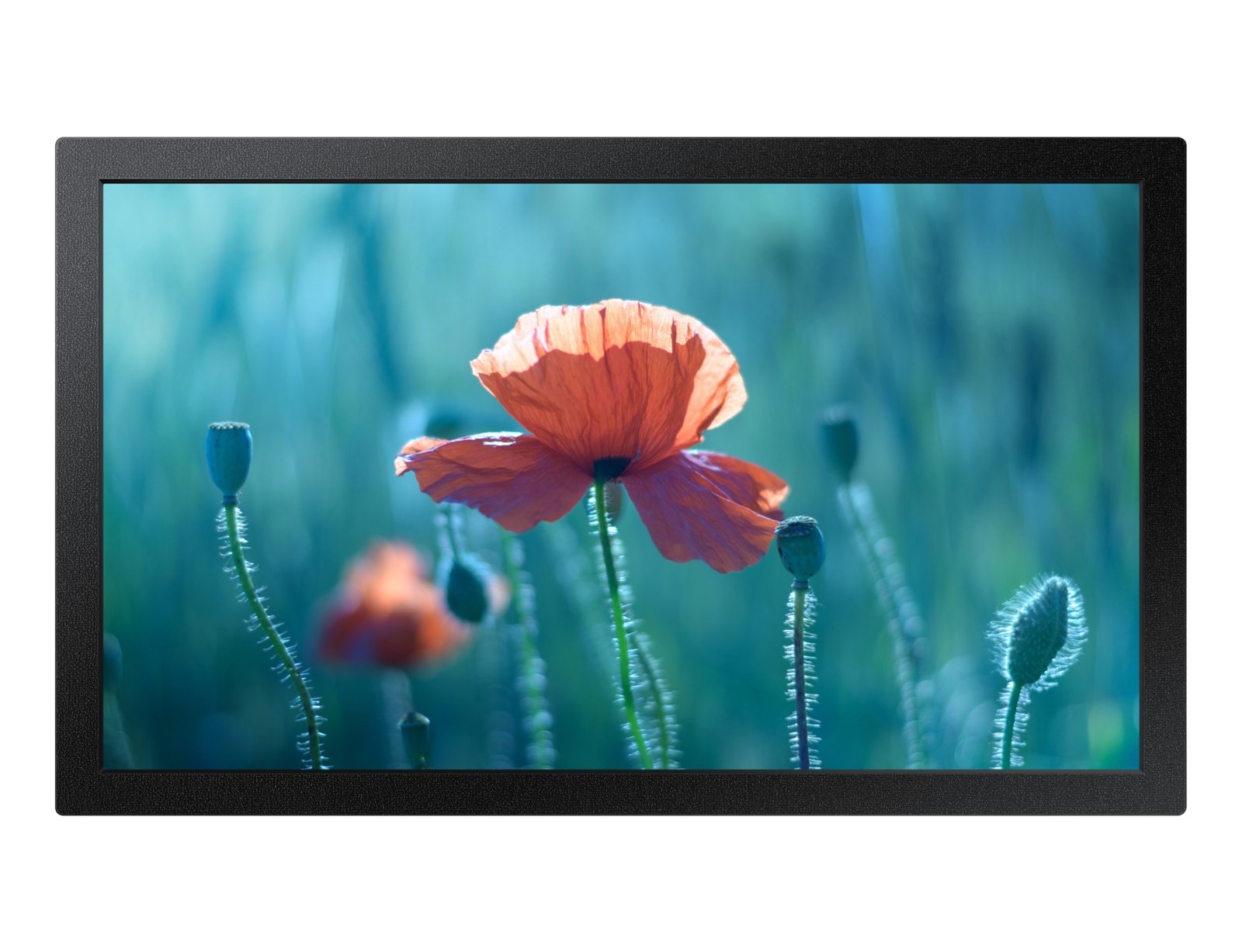 SAMSUNG COMMERCIAL LARGE FORMAT LH13QBRTMGCXZA Signage Display 33 cm (13") LED Wi-Fi 300 cd/m² Full