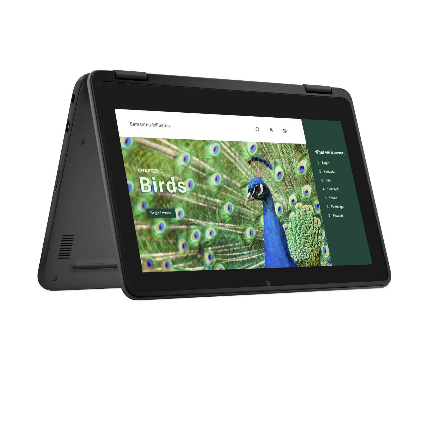 DELL CHROMEBOOKS Chromebook 3120 2-in-1 Intel® N N100 29.5 cm (11.6") Touchscreen HD 4 GB